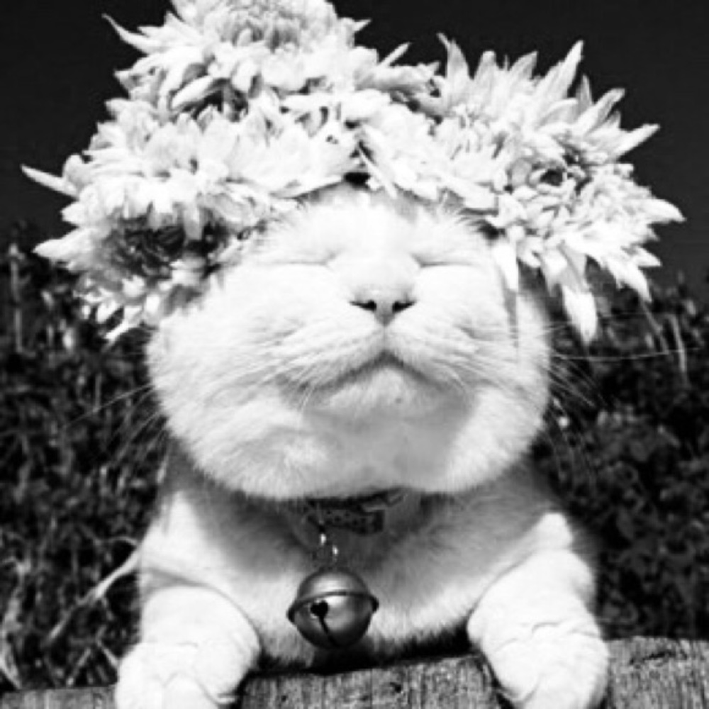 There's always a SALE❣️When you Bundle❣️